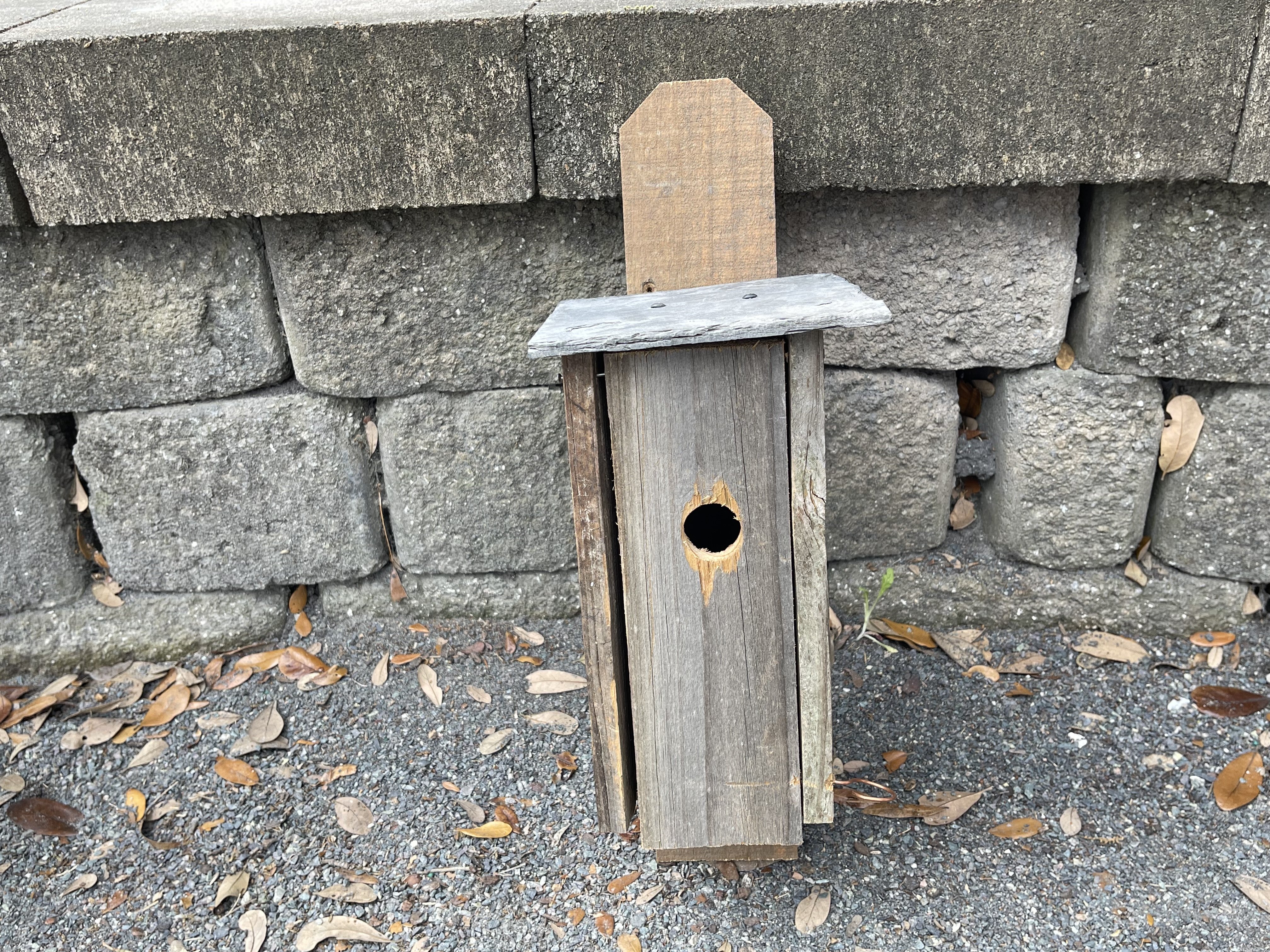 Songbird Nest Box